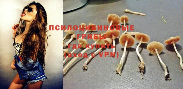 МДПВ Алексин