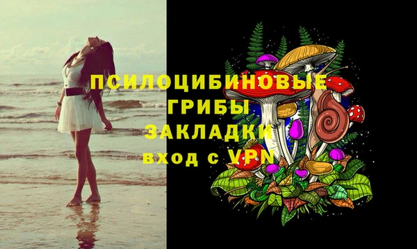 соль курить ск Алексеевка