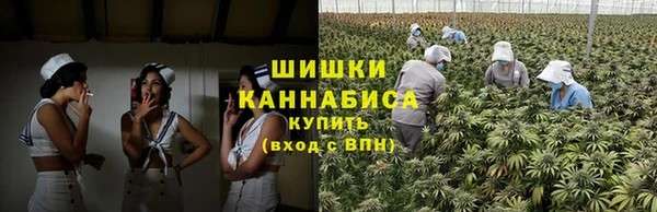 Альфа ПВП Алзамай
