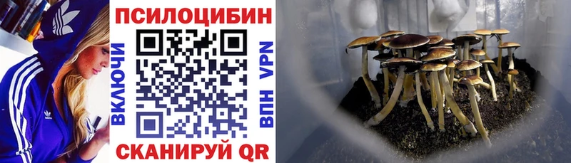 Псилоцибиновые грибы ЛСД  Артёмовск 